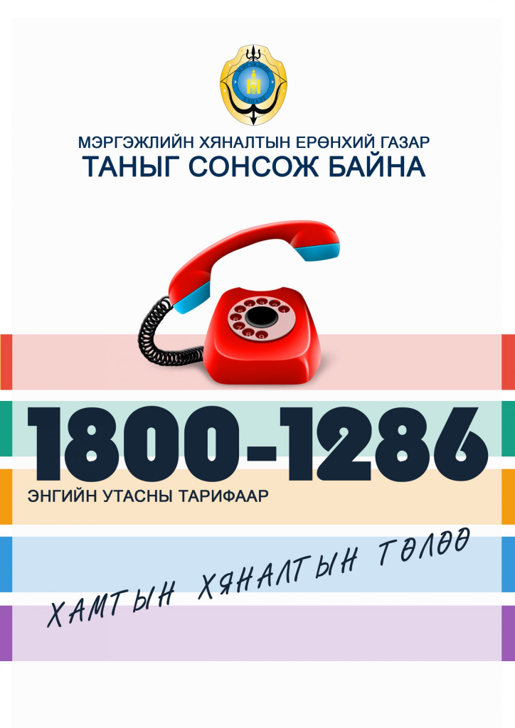 91 иргэнд зөвлөгөө, мэдээлэл өгчээ