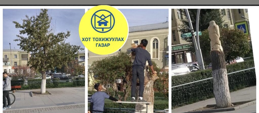 Нийслэлийн модыг тайрч, сийлбэр болгон засч байна