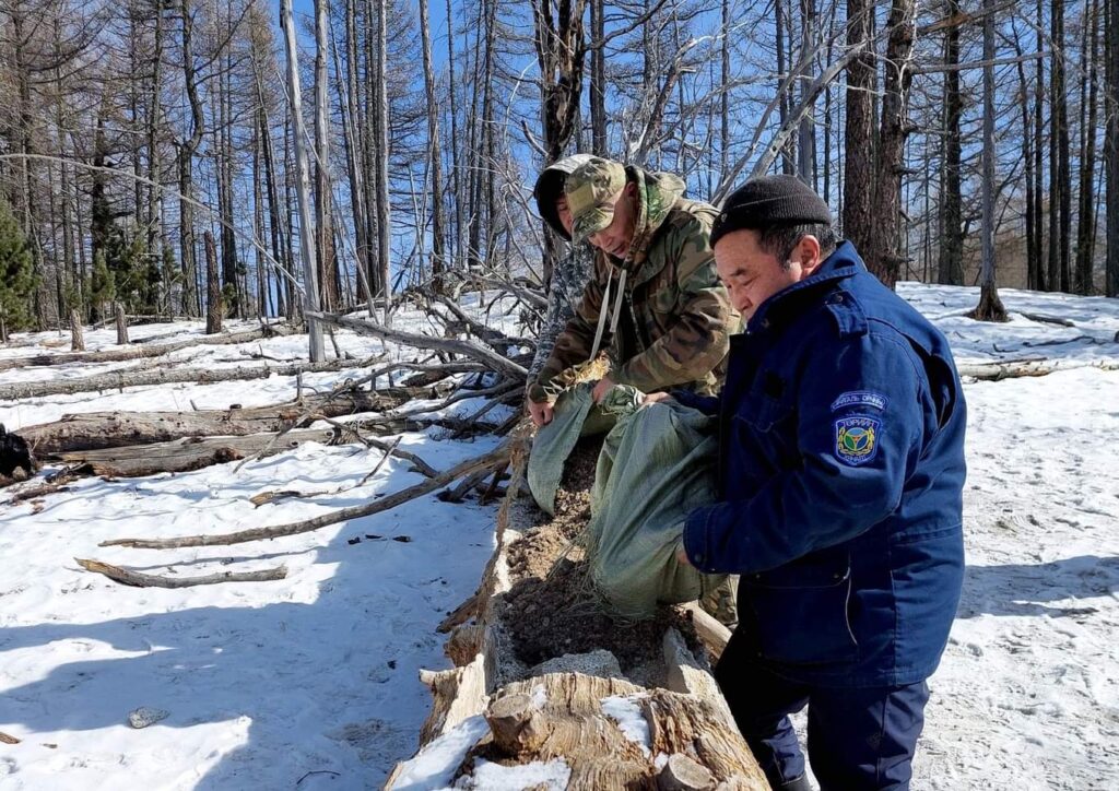 Уурхайчид Чойрын Богдын амьтадад хужир тараажээ