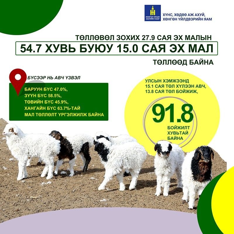 Улсын хэмжээнд 13.8 сая төл бойжиж байна