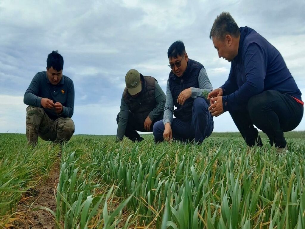 Зүүн бүсийн тариалангийн талбай ургалтын байдалтай ТАНИЛЦАН МЭРГЭЖИЛ арга зүйн зөвлөгөө өгч, санал солилцлоо